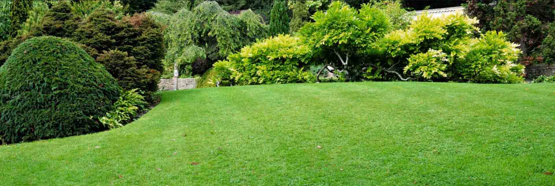 Venta cesped natural | Tepes de cesped | Viveros Coronado