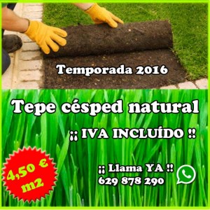 Tepe de césped natural oferta 4,50 € IVA INCLUIDO. Viveros Coronado en Navalcarnero (Madrid)