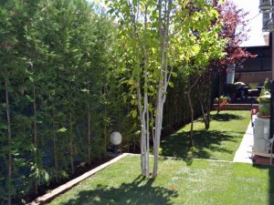 Decoración de jardines con cesped natural y setos. Viveros Coronado en Navalcarnero, Madrid