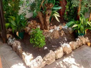 Trabajo realizado de limpieza de jardín, piedra para retener tierras Viveros Coronado
